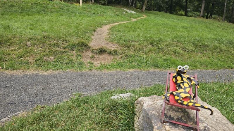 Bad Schwarzbach, Kurpark 2